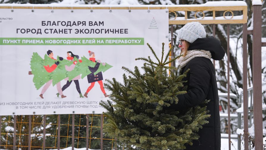 После праздников: как Москва справилась с валом новогоднего мусора