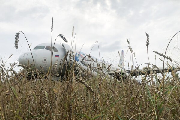 «Пилоты не посмотрели на индикаторы». Что явилось причиной инцидента с Airbus A320